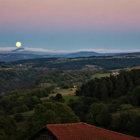 Comme Dans La Paille Barges