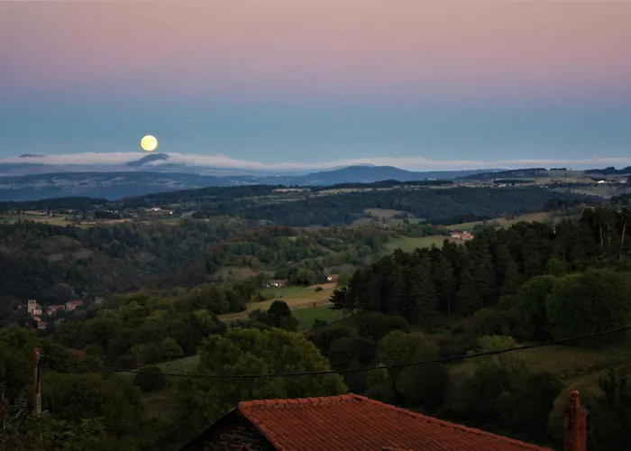 Comme Dans La Paille Barges